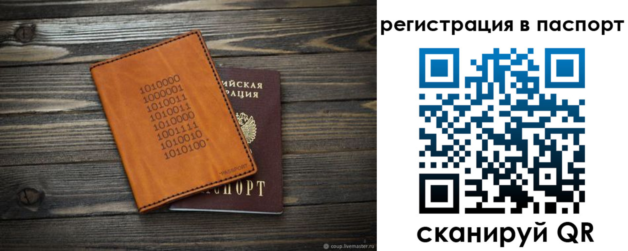 прописка для школы в Купино